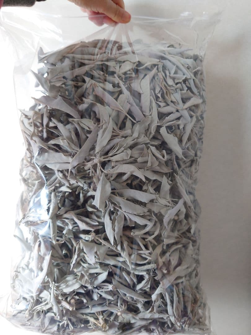 ホワイトセージ 枝付き リーフ 無農薬 １kg