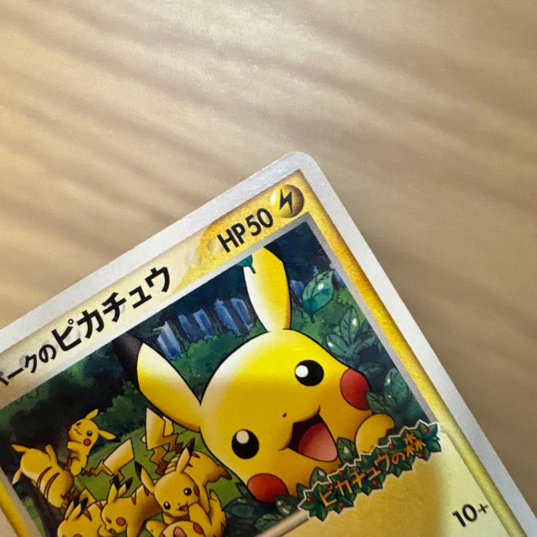 ポケパークのピカチュウ 043/PCG-P プロモ【5973