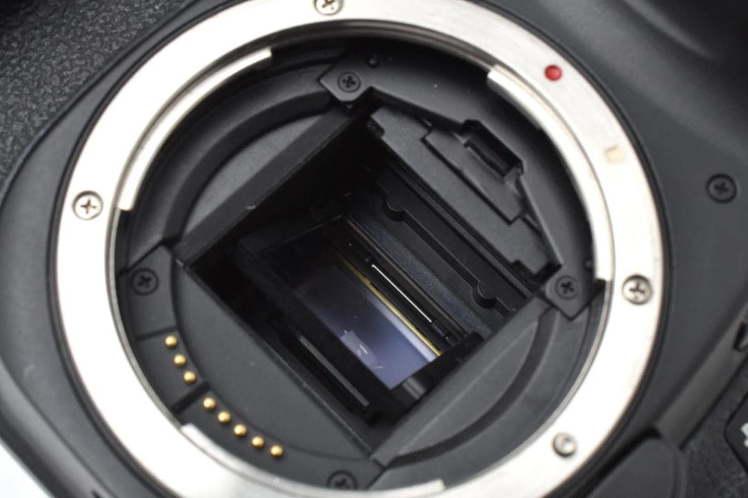 【動作品】 キャノン EOS 40D＋EF 22-55mm USM カメラ