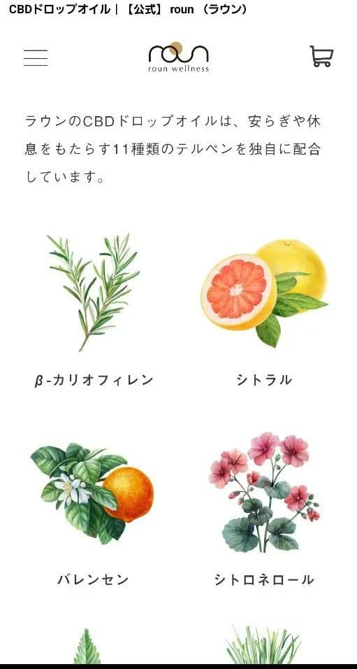 roun wellness CBDオイル 30% 10ml ラウン 新品