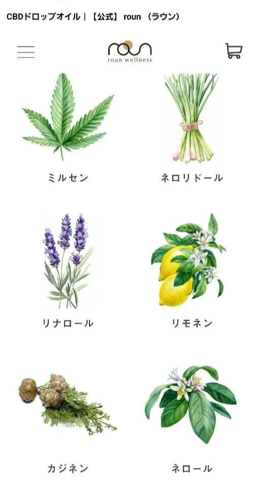 roun wellness CBDオイル 30% 10ml ラウン 新品