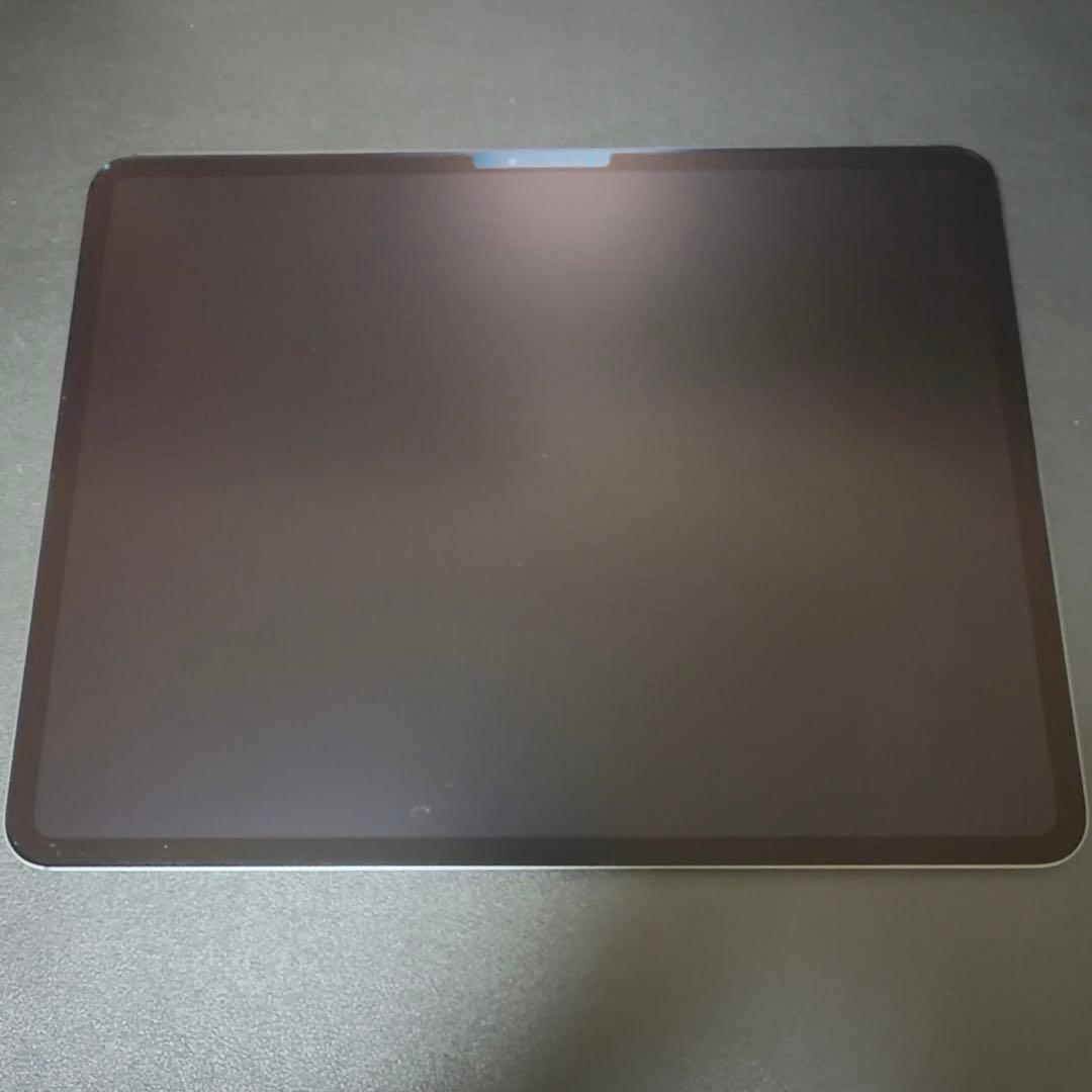 iPad Pro (M4) 13インチ
