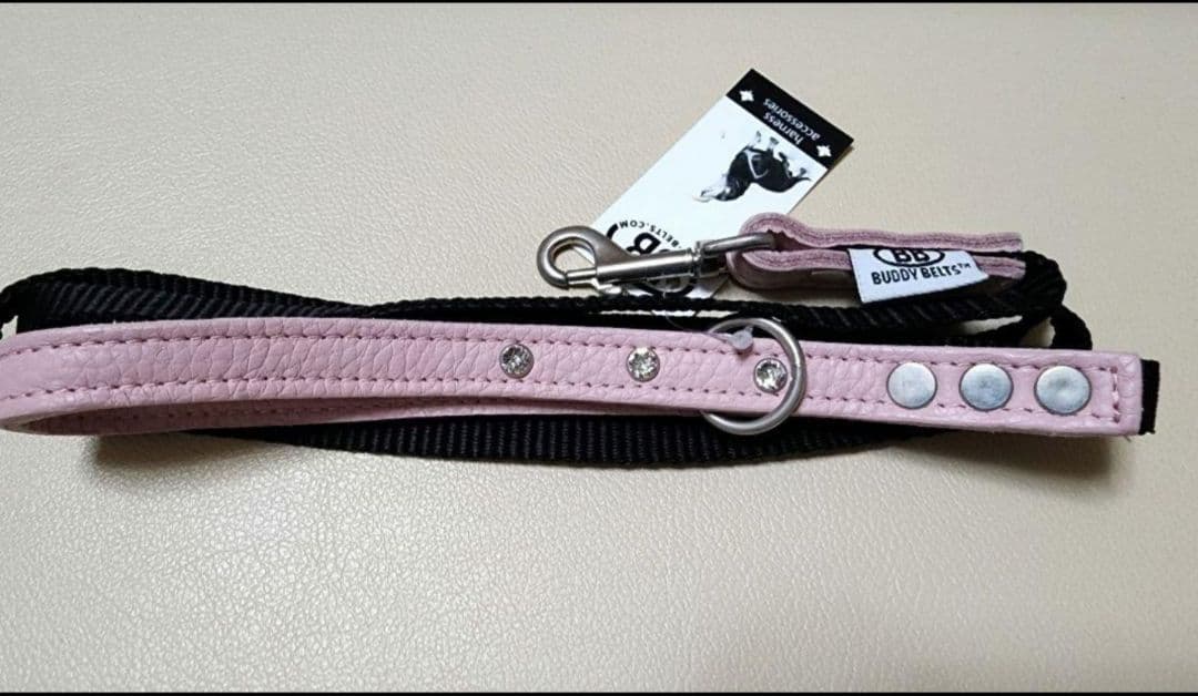 新品タグ付 バディーベルト BUDDY BELTS アクセントリード S