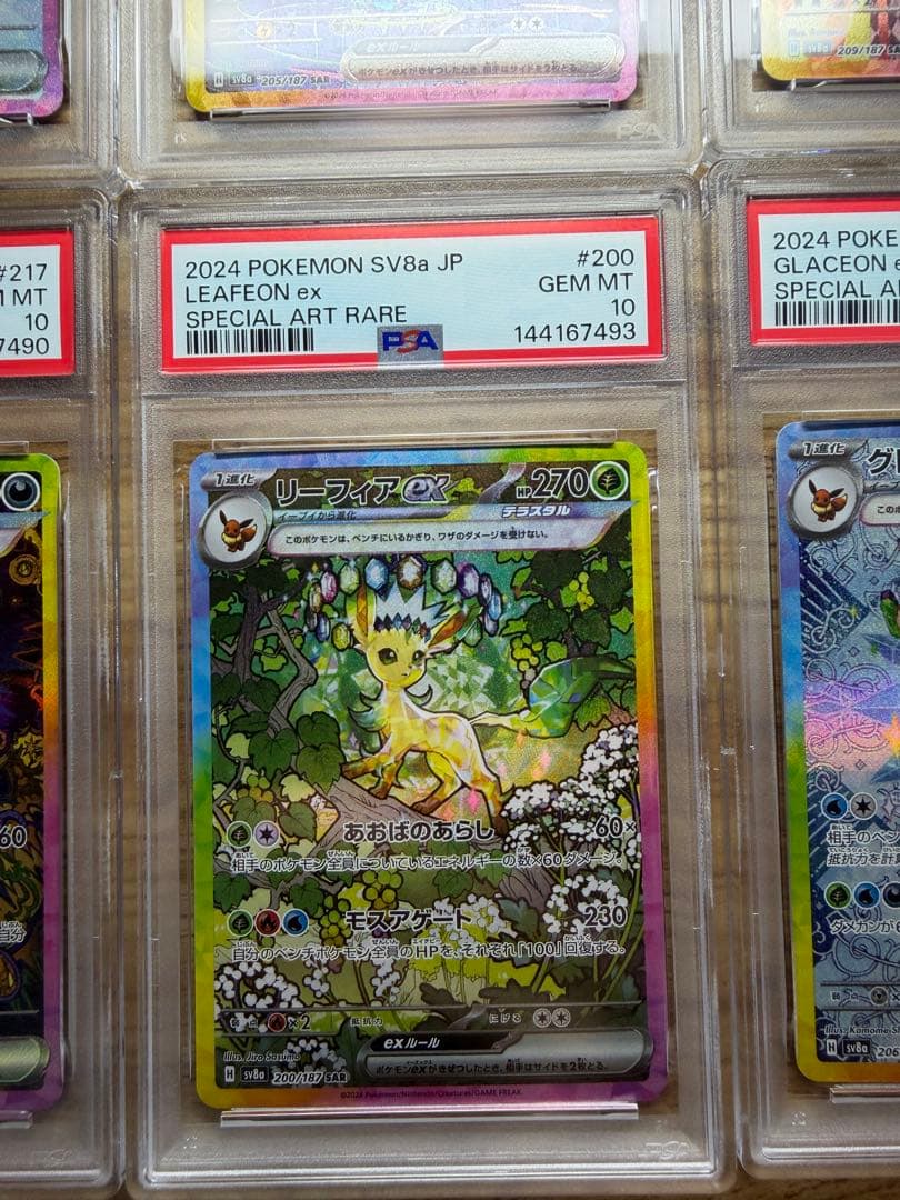 新 PSAケース PSA10 10枚ex ブイズSAR PSA10セット