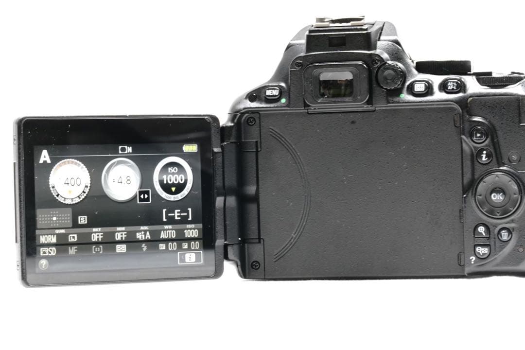 美品 Nikon D5500 レンズキット Wi-Fi搭載 スマホ転送