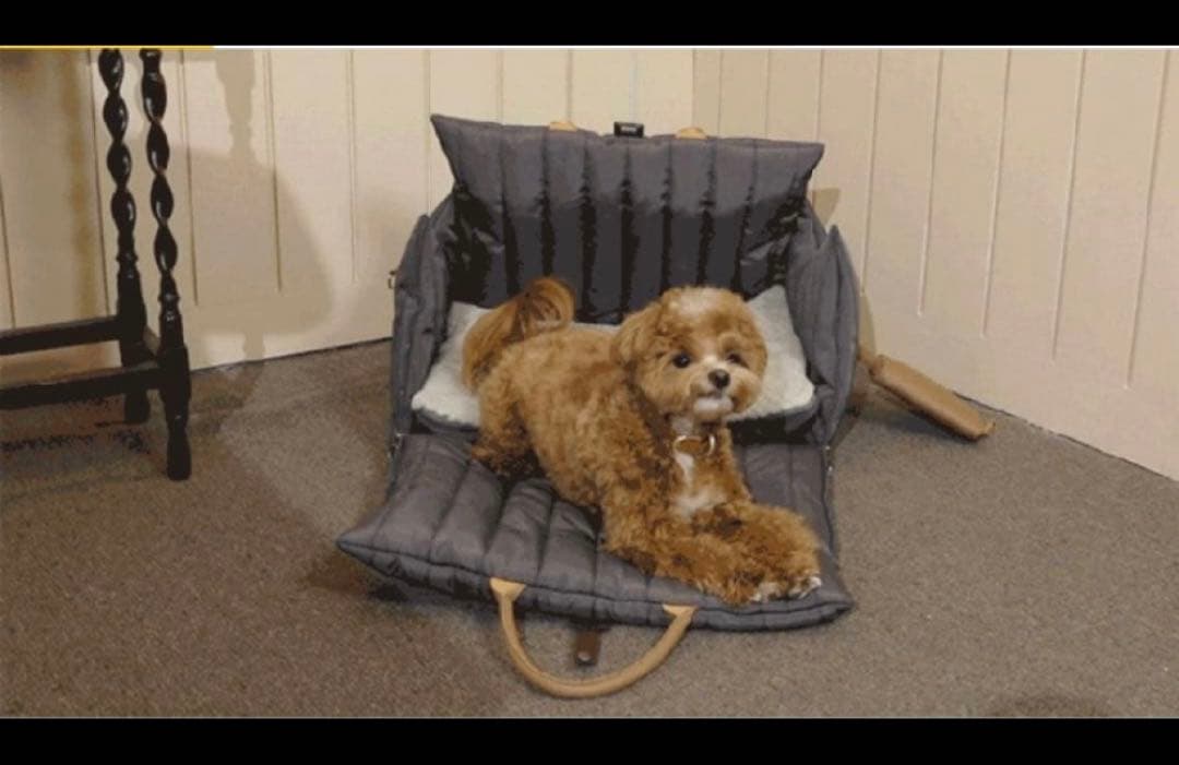 【超美品】犬猫 キャリーバッグ Topper bag ベージュ ベッド