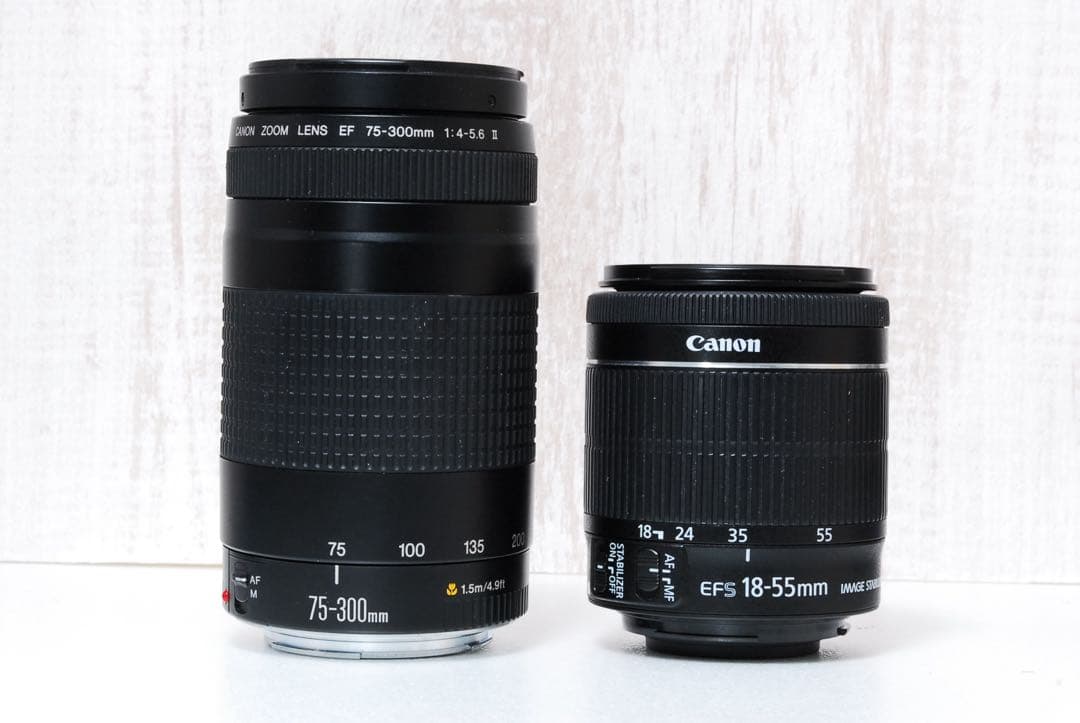 Canon Kiss X7i ダブルズーム 望遠レンズ 高画質 初心者おすすめ