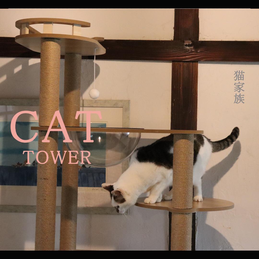キャットタワー 木製 宇宙船カプセル 大型猫 据え置き型 多頭飼い 可愛い　透明
