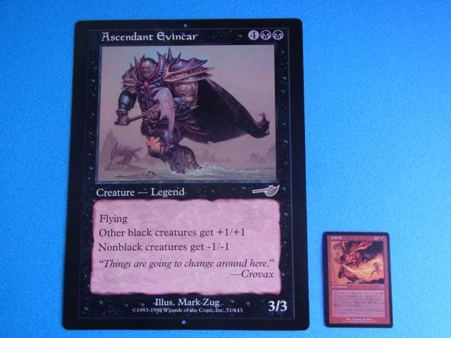 非売品　マジック・ザ・ギャザリング　MTG　隆盛なるエヴィンカー　販促品　両面