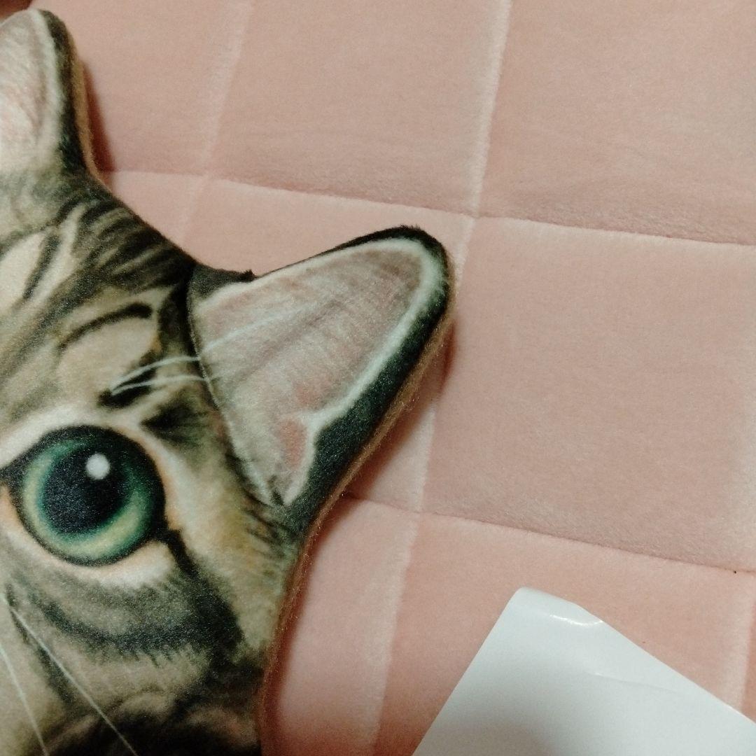 新品未使用品　フェリシモ猫部　完売品　キジトラ　壁掛けウォールポケット