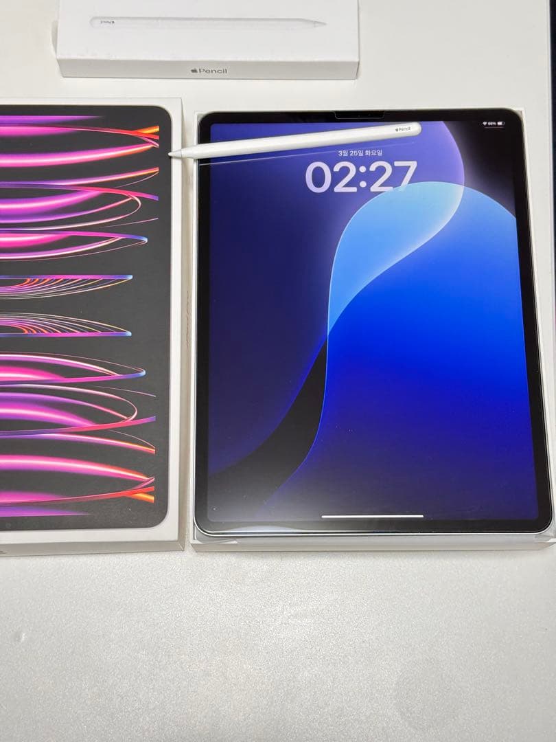 iPad Pro 12.9 256GB 第6世代　Apple Pencil付き