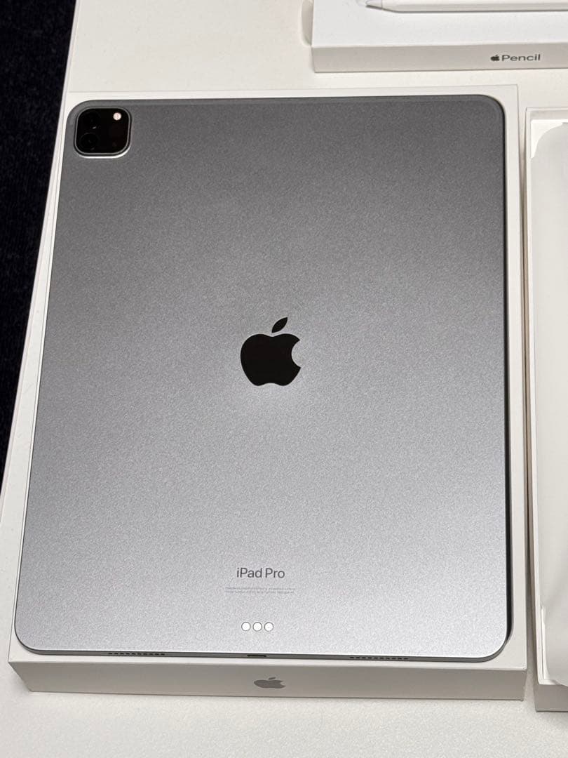 iPad Pro 12.9 256GB 第6世代　Apple Pencil付き