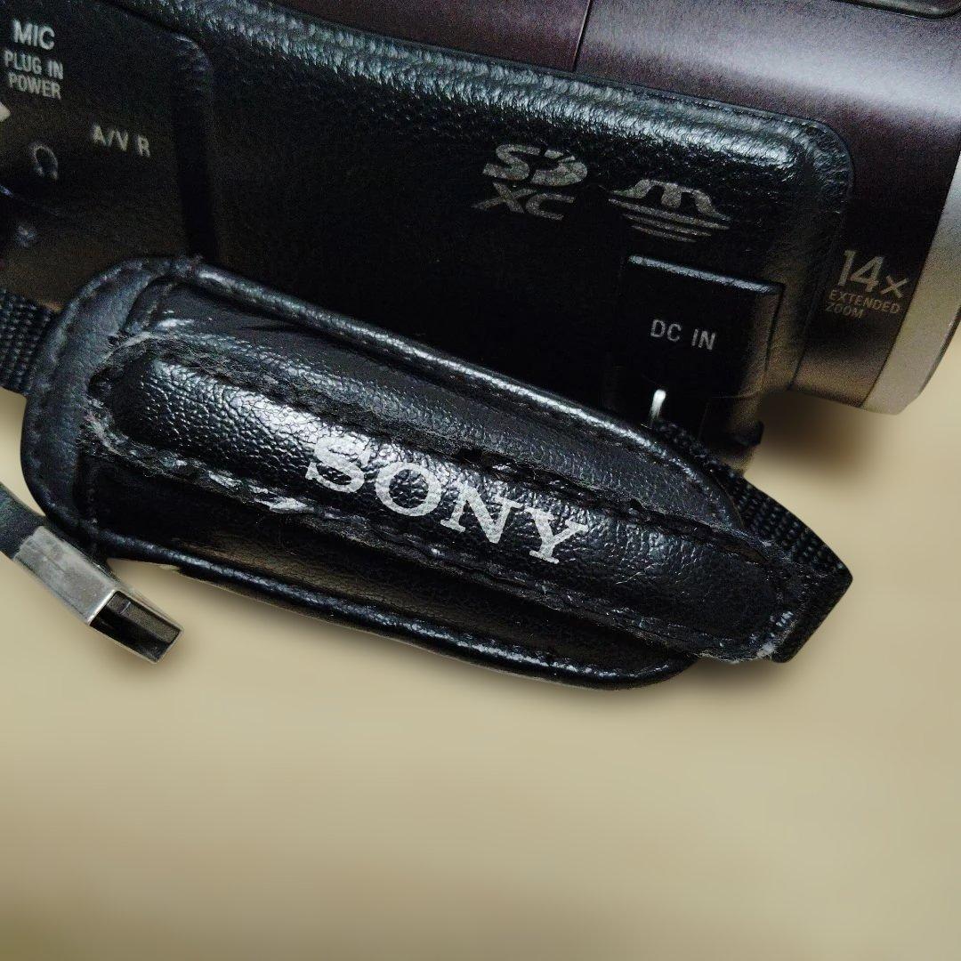 SONY HDR―CX560V
