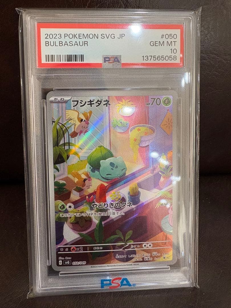 【本日限定】フシギダネ　PSA10