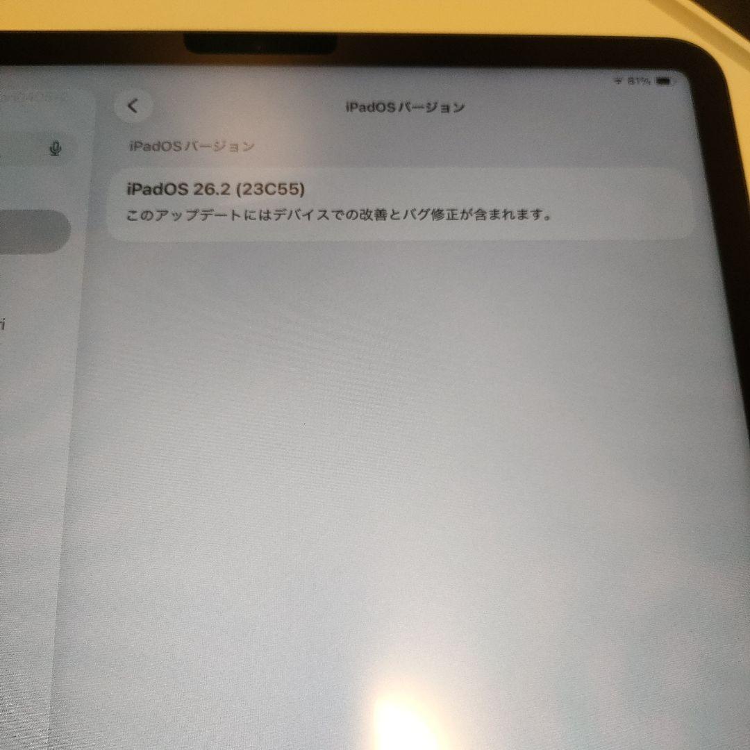 iPadPro 12.9 第5世代256GB+apple pencilセット