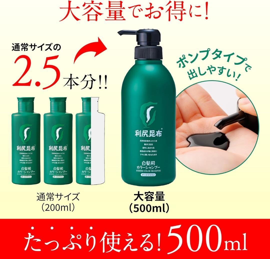 ✨️Sastty サスティ　大容量　利尻カラーシャンプー500ml 2本セット✨️