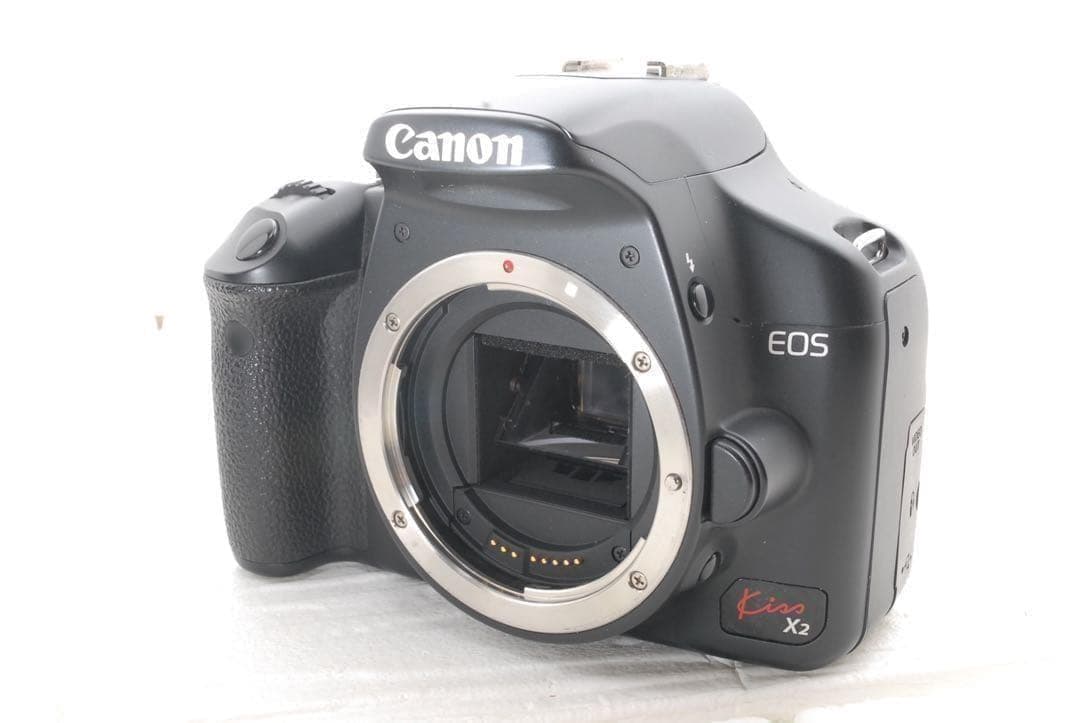 【極上品/シャッター数3437回】Canon Kiss X2 春の行事セット