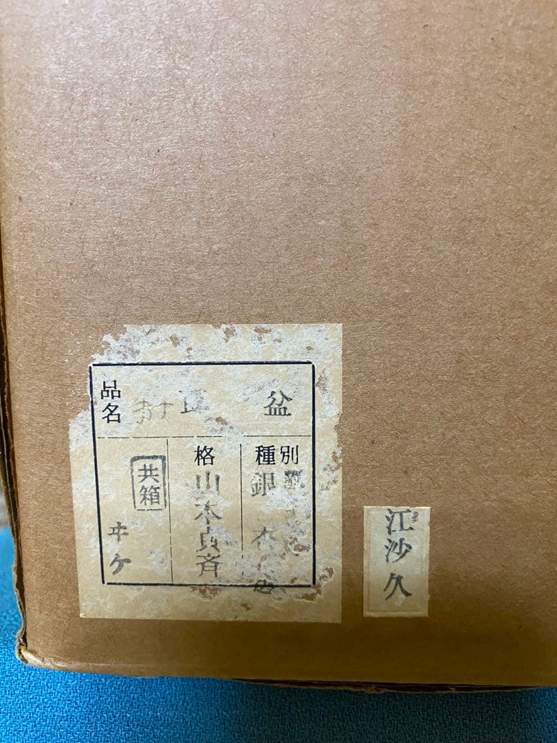 【本日限定】茶道具/莨盆 銀杏透 手付煙草盆 山本貞斎 造 鵬雲斎好 煙菅2本付