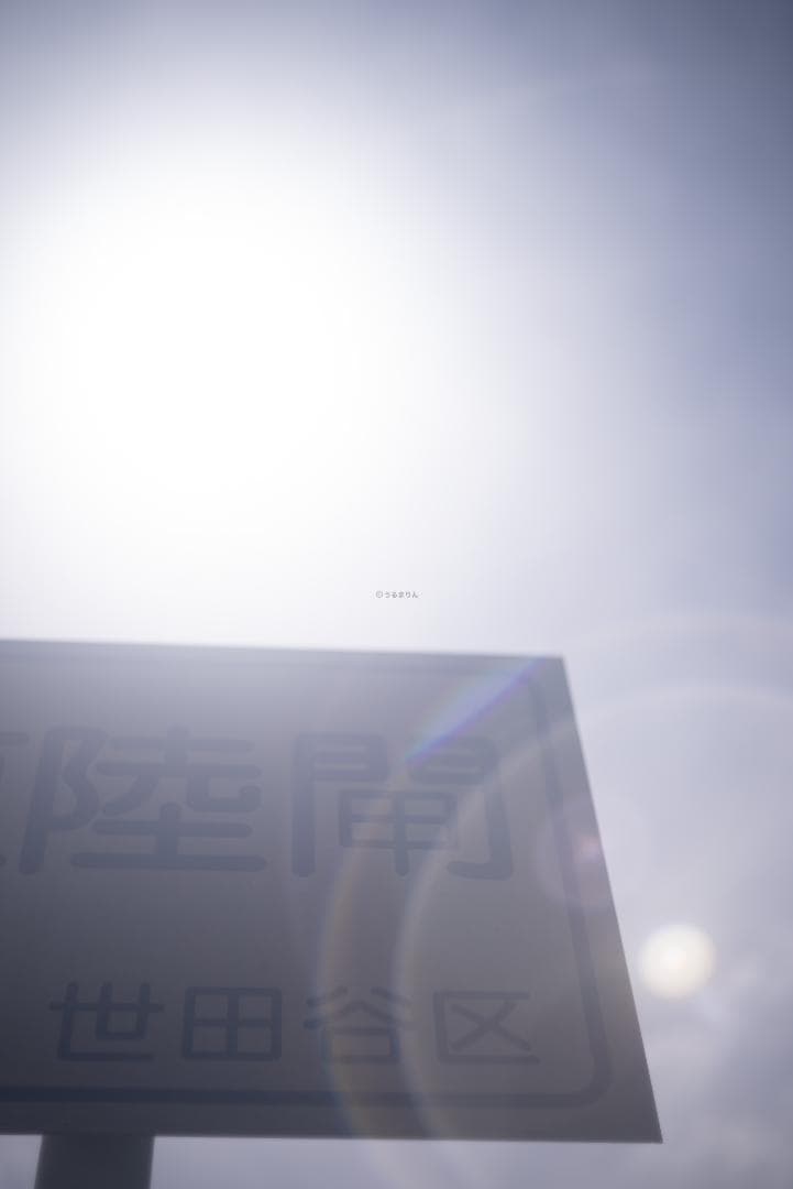 そら豆様　山崎ズマール！Leica Bluecoted Summar 50mm