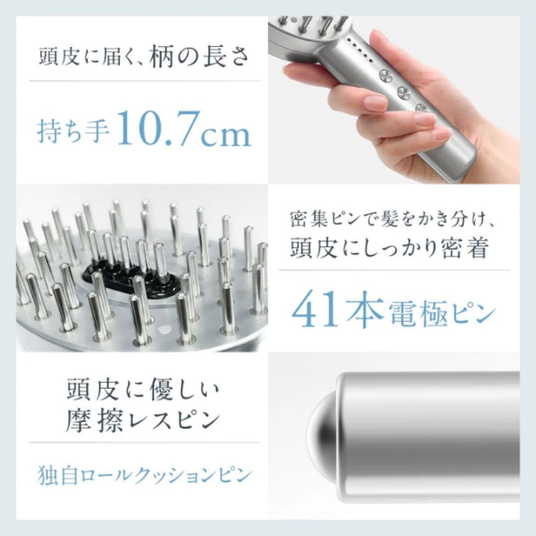 【値下中】NIPLUX EMS CARE BRUSH 美顔器NP-ECB24BK