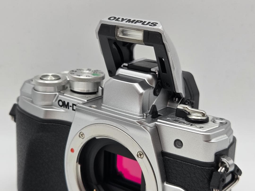【極美】OLYMPUS OM-D E-M10 Mark iii ボディ シルバー