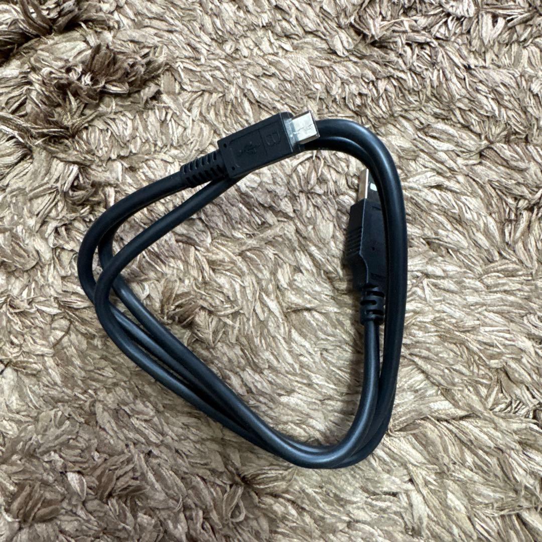 SONY SRSーHG10 h.ear go2 2018年製ハイレゾ対応