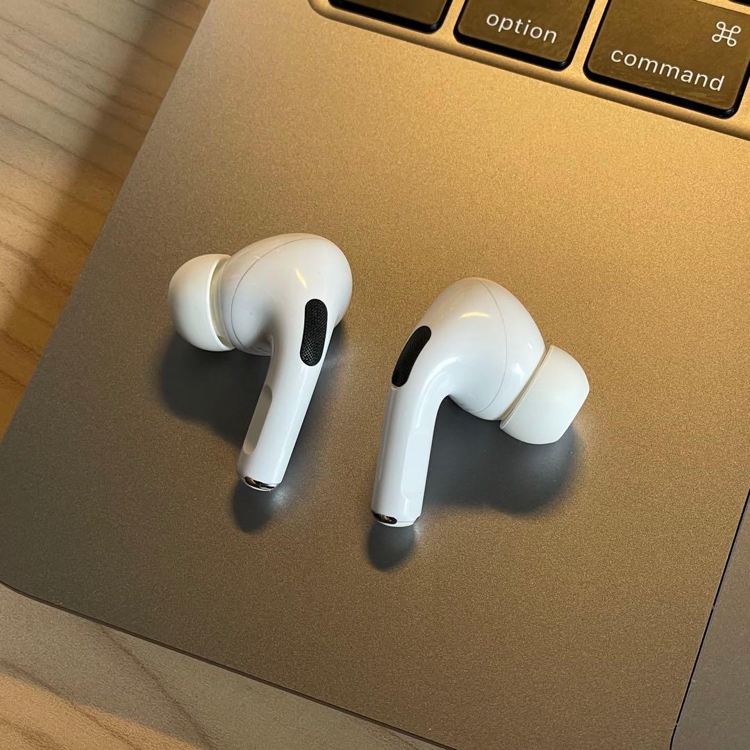 【にょきさん】AirPods Pro 第1世代 Lightning 純正付