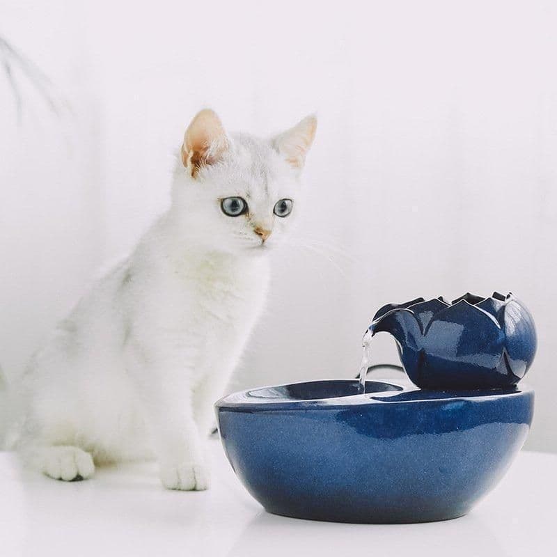 犬 猫 ペット用 自動循環 水飲み 給水器 濾過 清潔 給水器