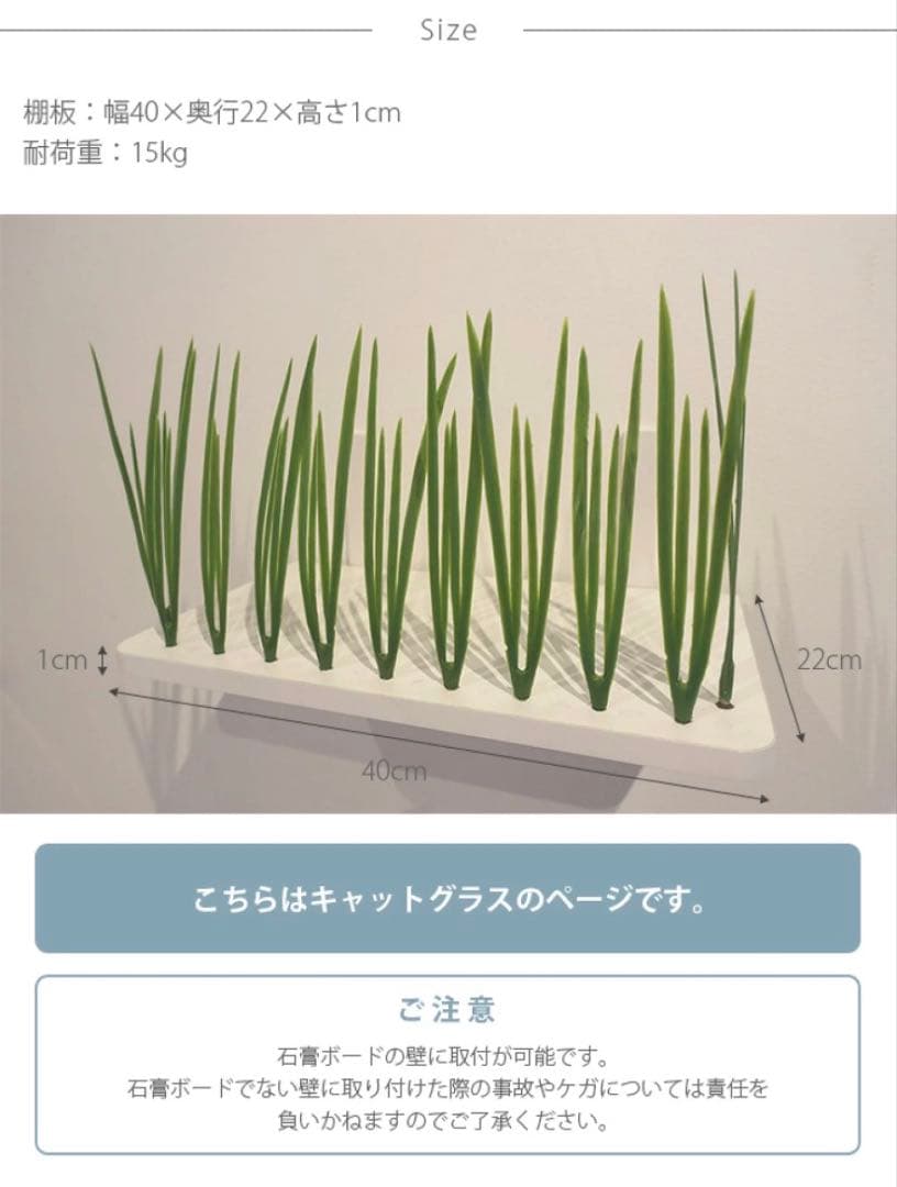 アニマコレキャットステップ