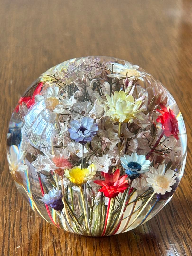 1997年　ハフォドグレンジ ◆ ウェールズで育った本物のお花のペイパーウェイト