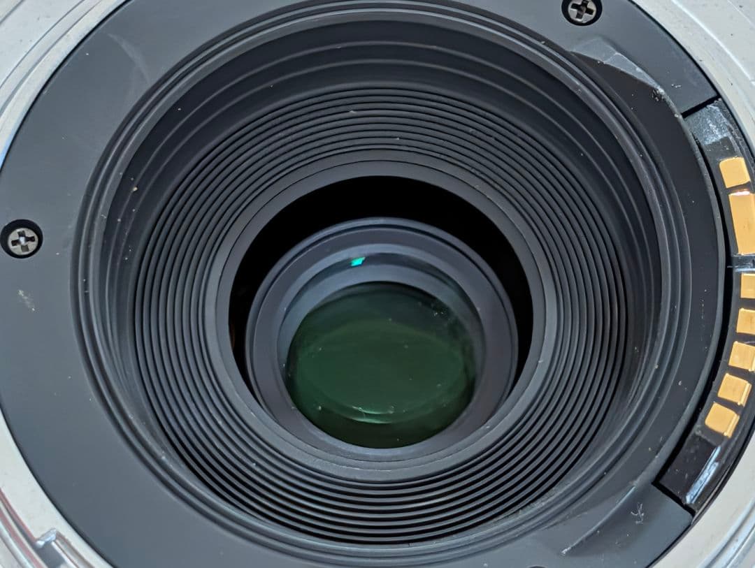 Tokina AT-X 10-17mm DX Fisheye CANONフード無