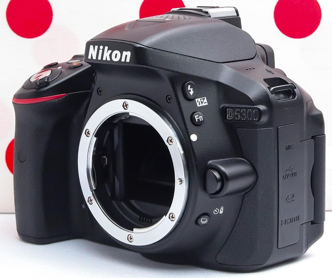 Nikon D5300 ❤Wi-Fi搭載&自撮り可❤超高画質❤一眼レフカメラ