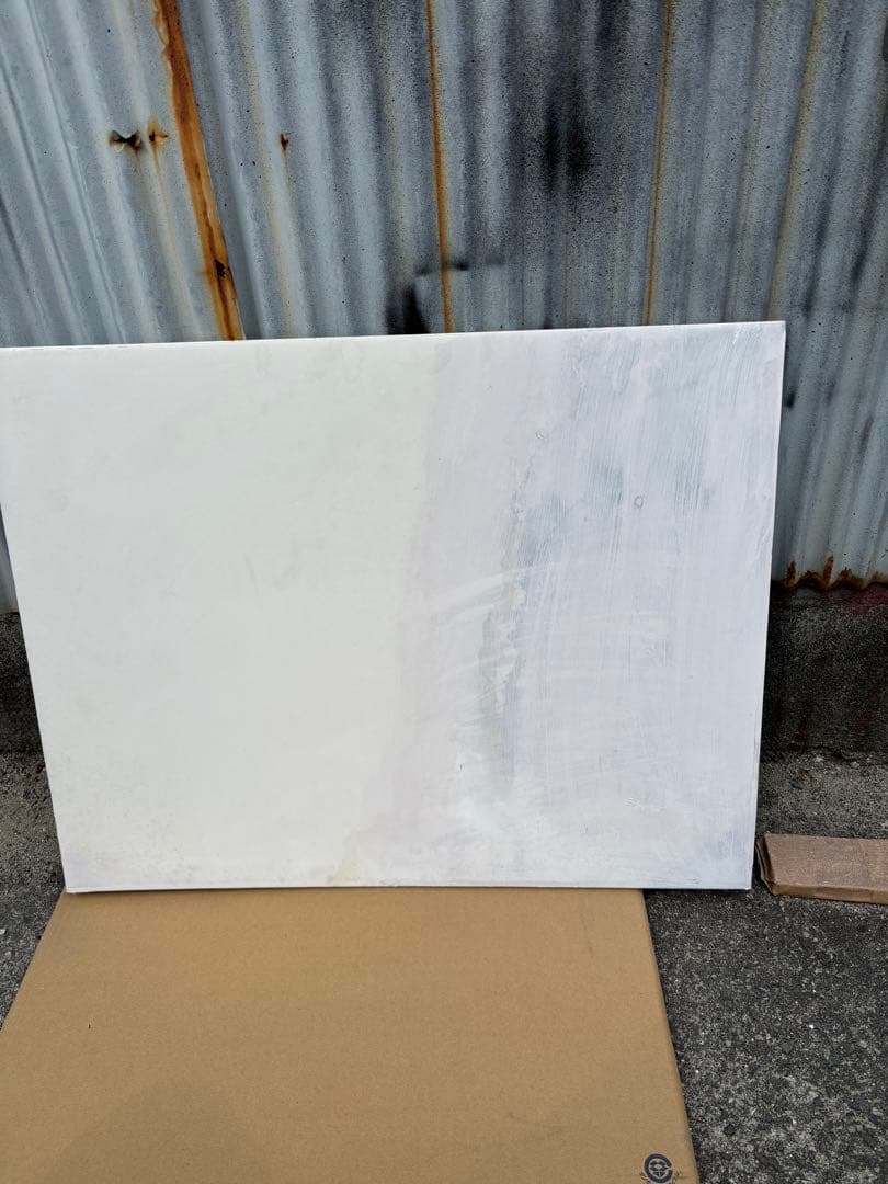 猫の骨格解剖図　ポスター希少51x66cm ペット Fel-O-Vax ネコ