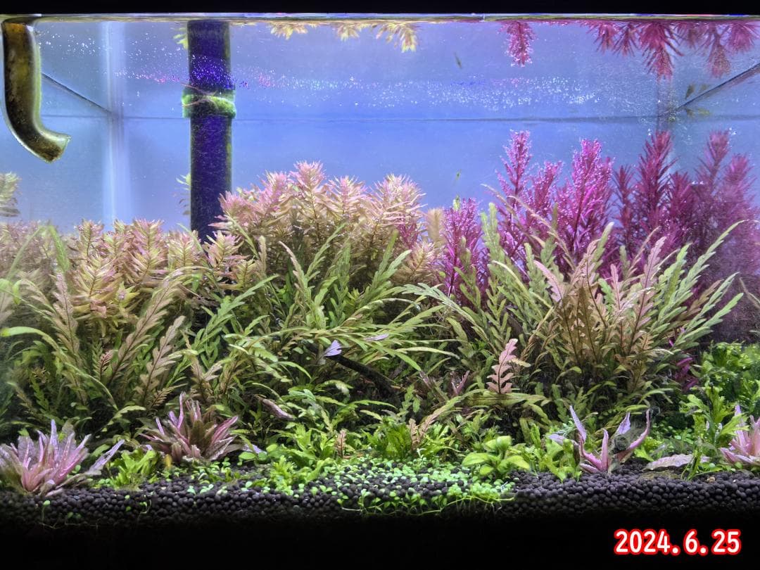 1本★水草育成ライト 高輝度 LED水槽ライト 120cm水槽対応A2271