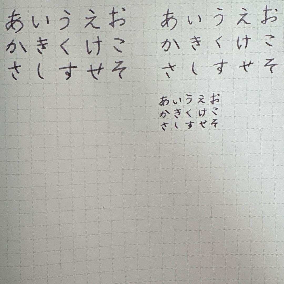 AURORA 万年筆 Mantova 888-VMN Mの三角研ぎ