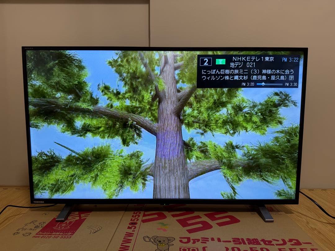 美品東芝REGZA 40V34 40型2024年製⭕️上地、BS/CS動画可テレビ