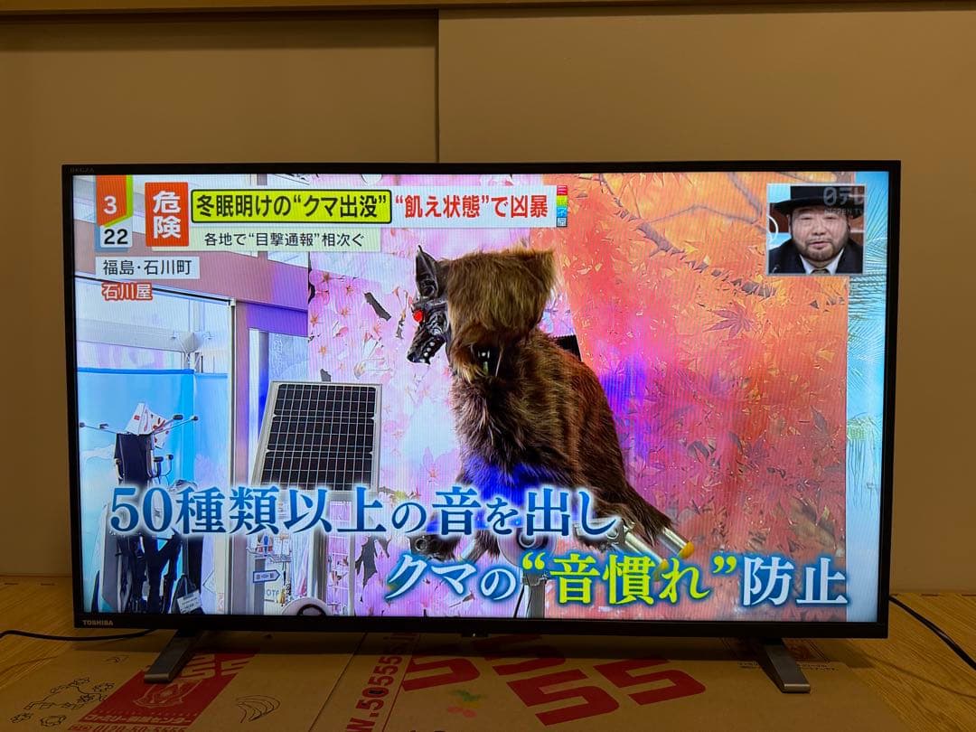 美品東芝REGZA 40V34 40型2024年製⭕️上地、BS/CS動画可テレビ