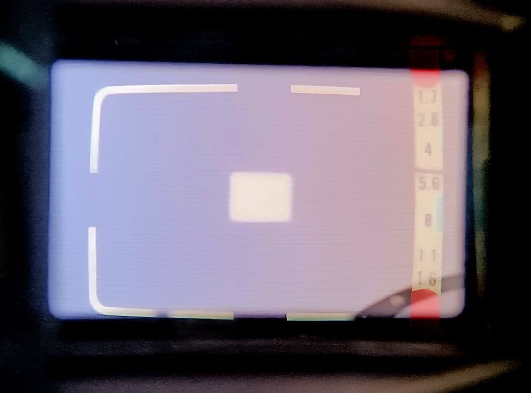 New Canonet QL17-L 実写サンプルあり