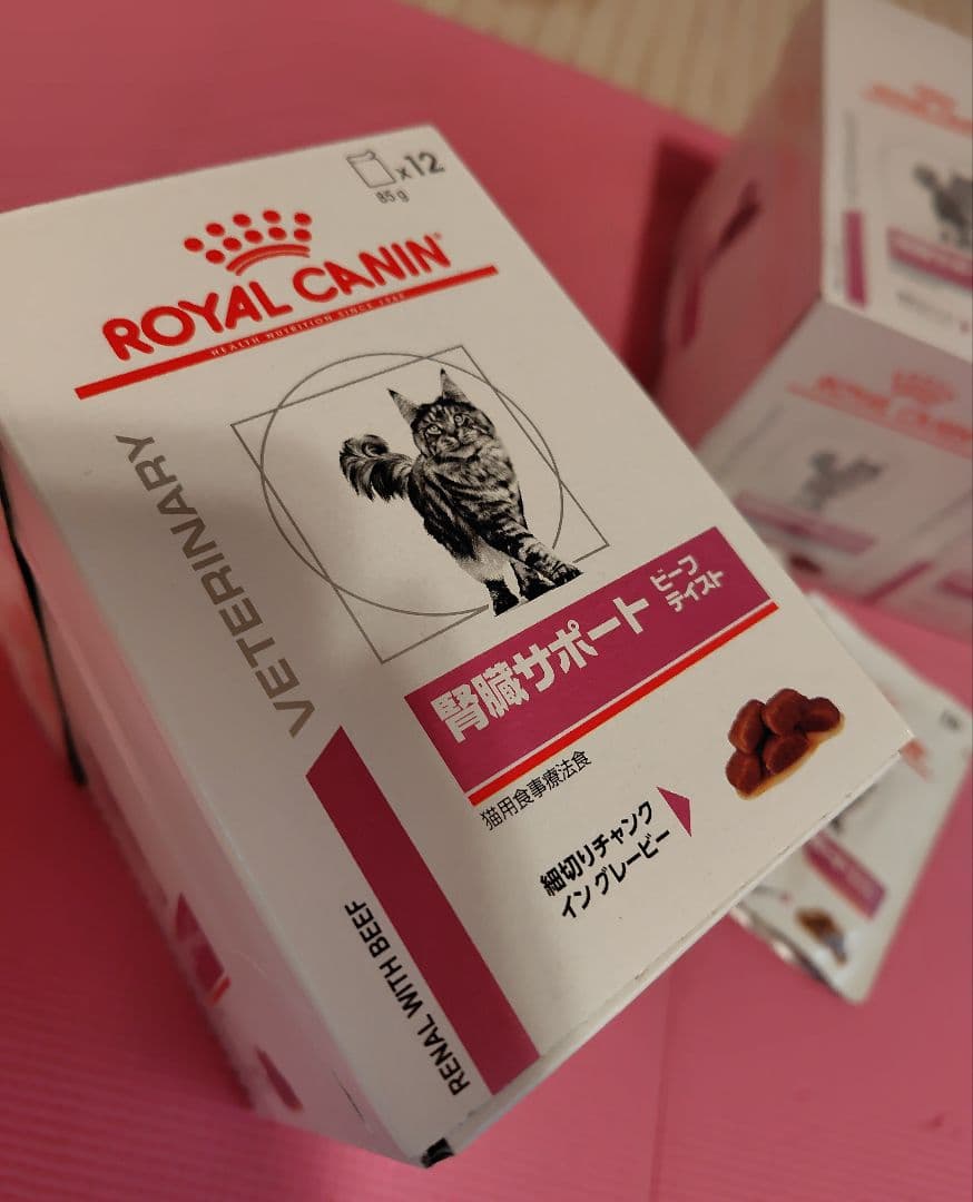  CANIN 腎臓サポート　ビーフテイスト　39袋　ロイヤルカナン