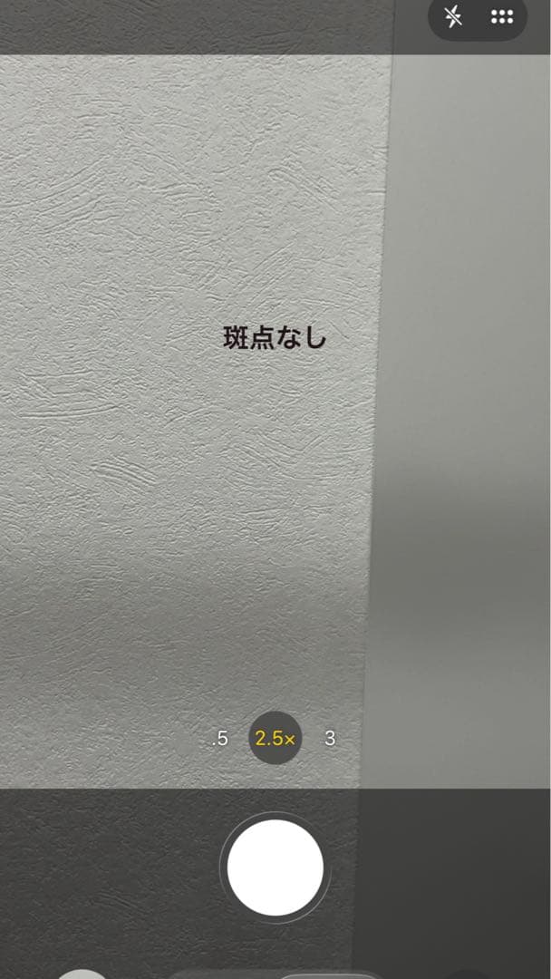 iPhone13 Pro 256GB シエラブルー SIMフリー 箱有 動作良好