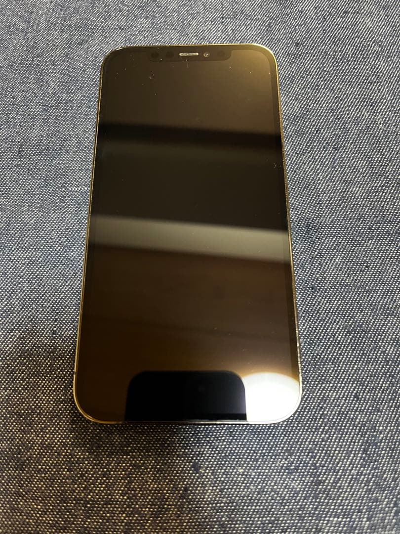【超美品】iPhone12Pro 256G グラファイト 本体のみ
