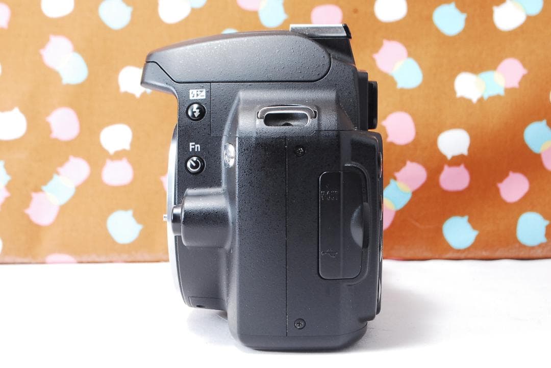 ✨スマホ転送可能✨美品✨Nikon D60 レンズセット