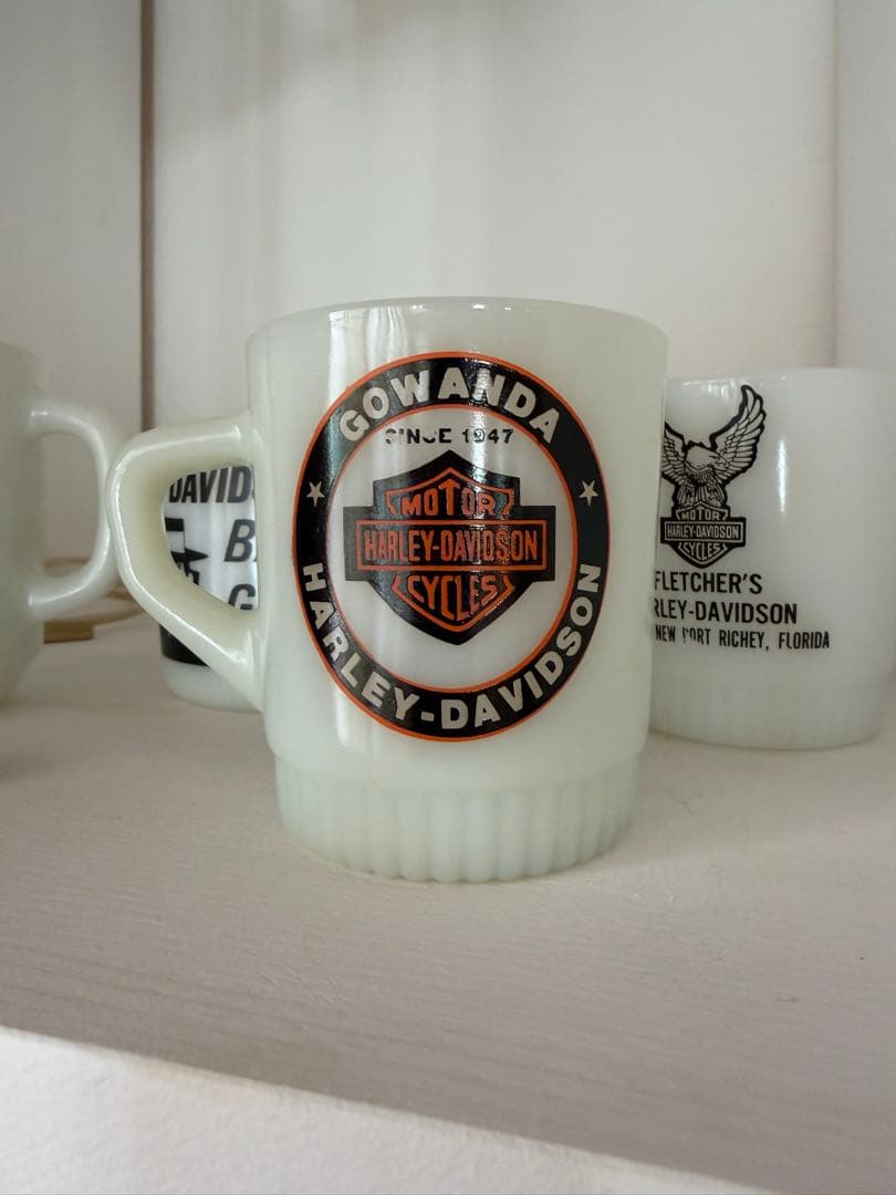 ファイヤーキング　ハーレーダビッドソン　GOWANDA
