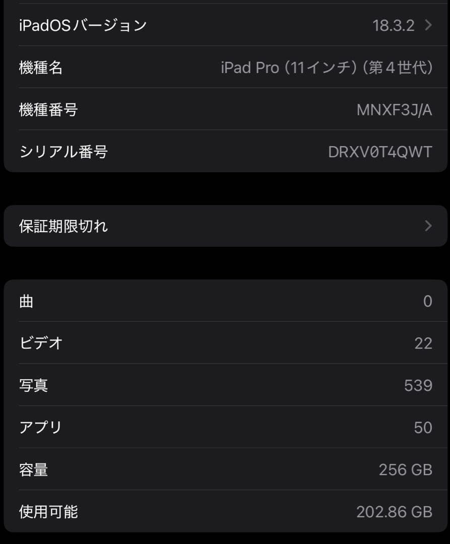 Apple iPad Pro 11インチ　第4世代　256GB