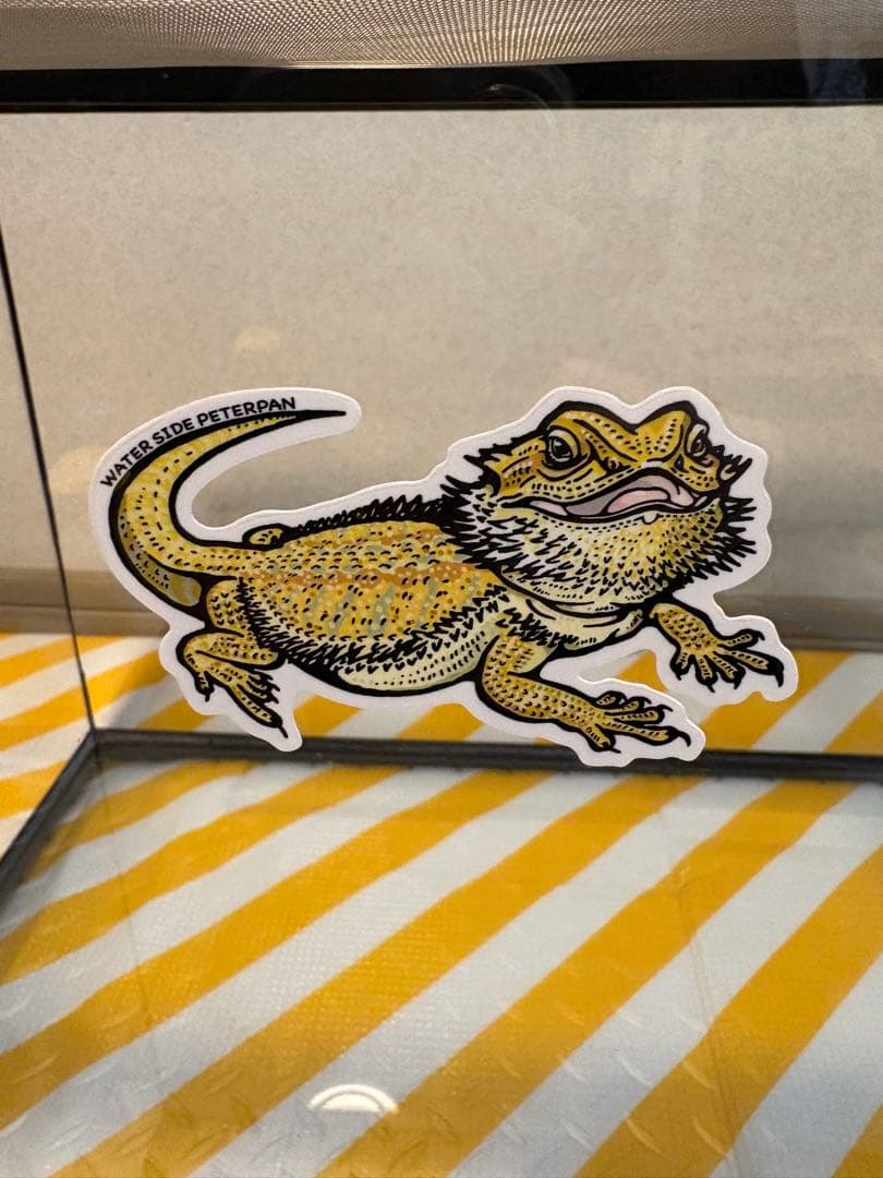 爬虫類ケージ　ＧＥＸ　エキゾテラ　グラステラリウム　９０４５