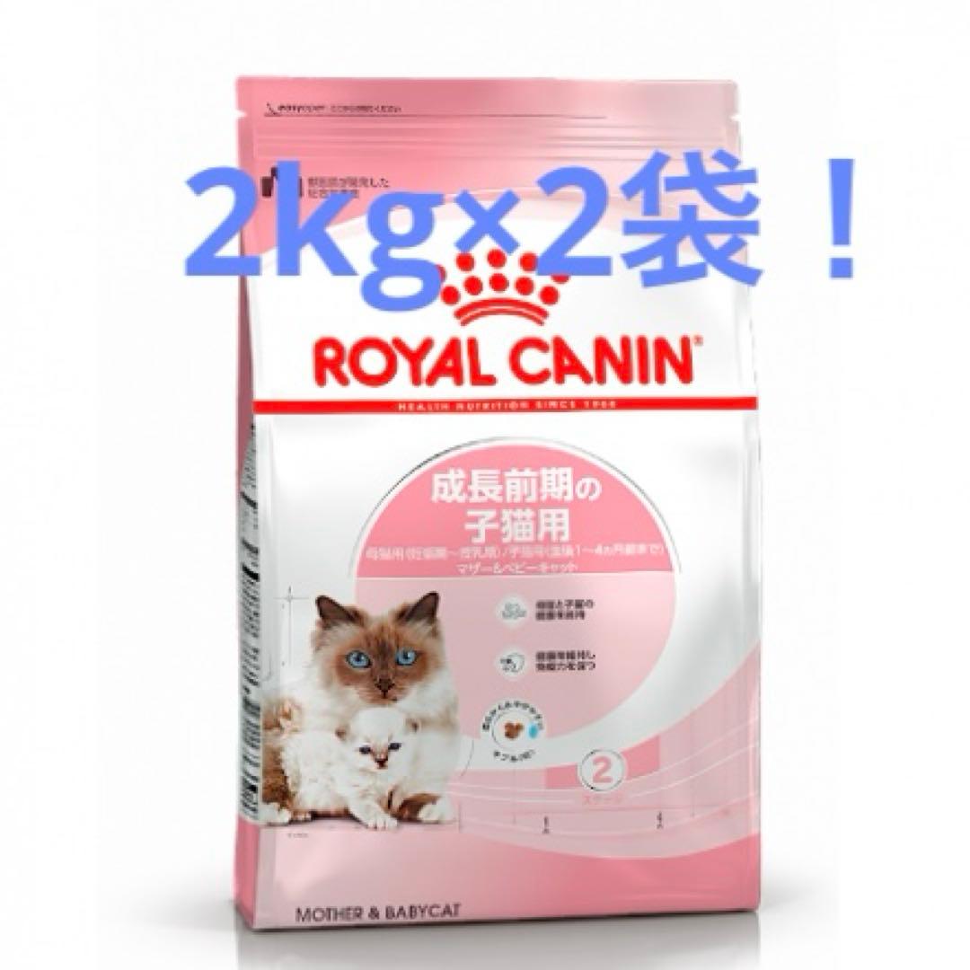  CANIN 猫　マザー&ベビーキャット　ドライフード 2kg×2袋