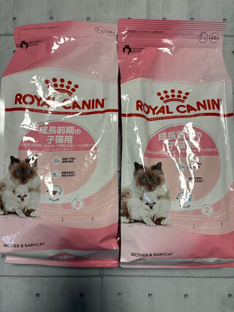  CANIN 猫　マザー&ベビーキャット　ドライフード 2kg×2袋