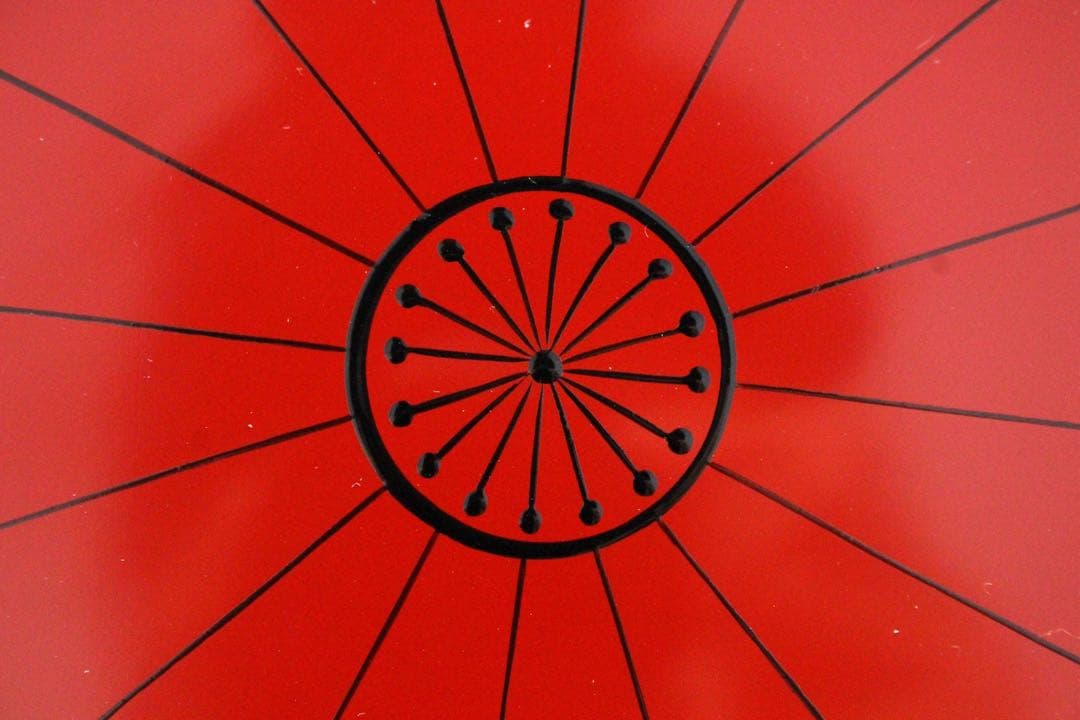 No5297高桑泉斎 造　朽木菊銘々盆　直径15cm 5客　共布/共箱　送料無料