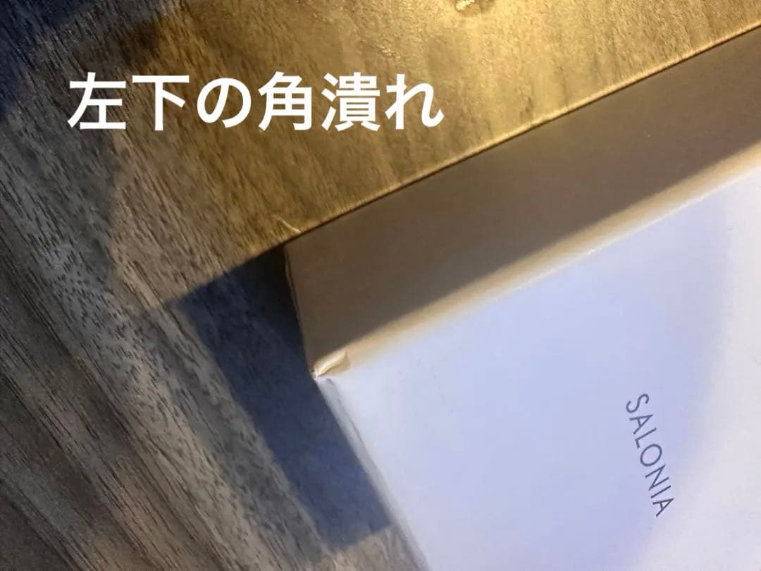 期間限定出品★SALONIA／EMSリフトブラシ