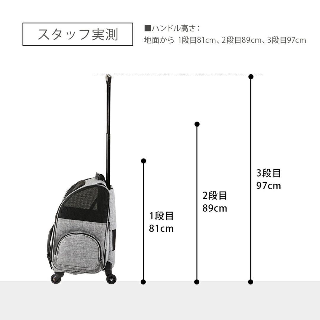 AIRBUGGY Fitz キャリーバッグ